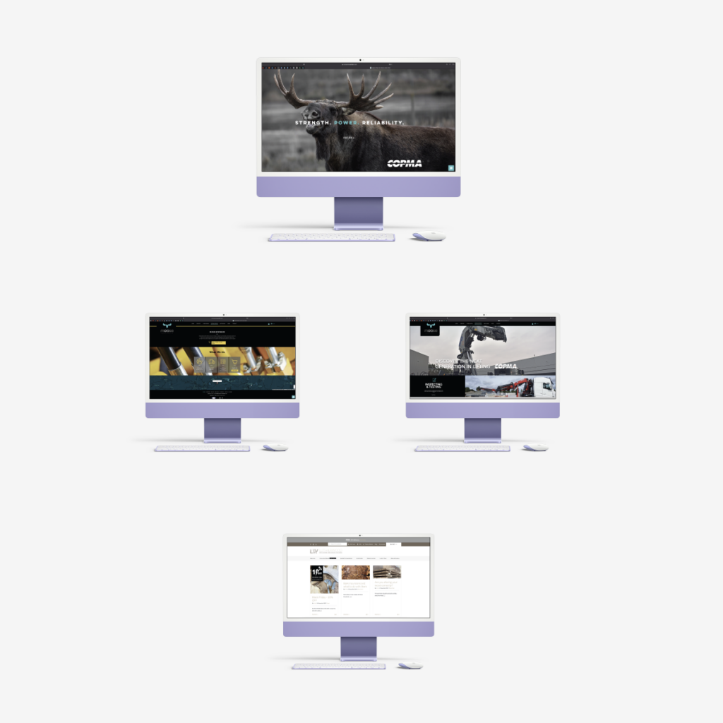 Web design Examples on iMacs